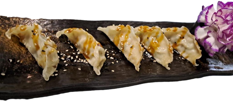 Gyoza Chicken